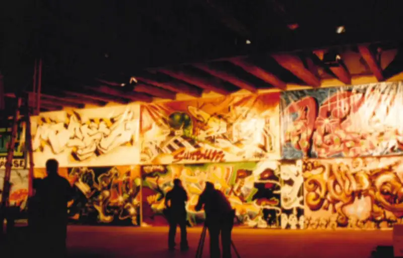 Painted canvases, wide view